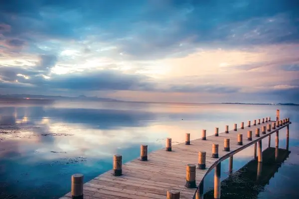 复旦大学黄光存简介