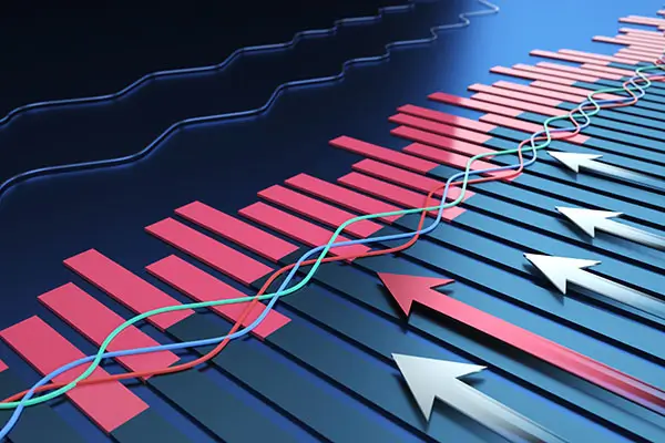 西南大学王露洁简介